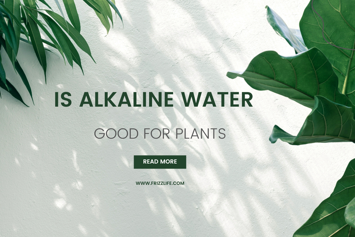 Is Alkaline Water Good for Plants