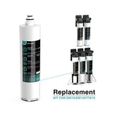 Frizzlife CP10R-HF Replacement Housing Kit With CP10R Filter Cartridge Inside - The 2nd Stage For TW10 Under Sink Water Filter Systems