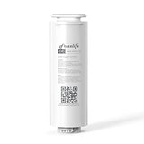 Cartucho de filtro de repuesto FRIZZLIFE ASR411 para sistema de ósmosis inversa PD1000-TAM4 (1ra etapa)