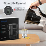 Frizzlife FP40 Water Filter Pitcher, Large 10 Cup purifier System with Filter Life Remind